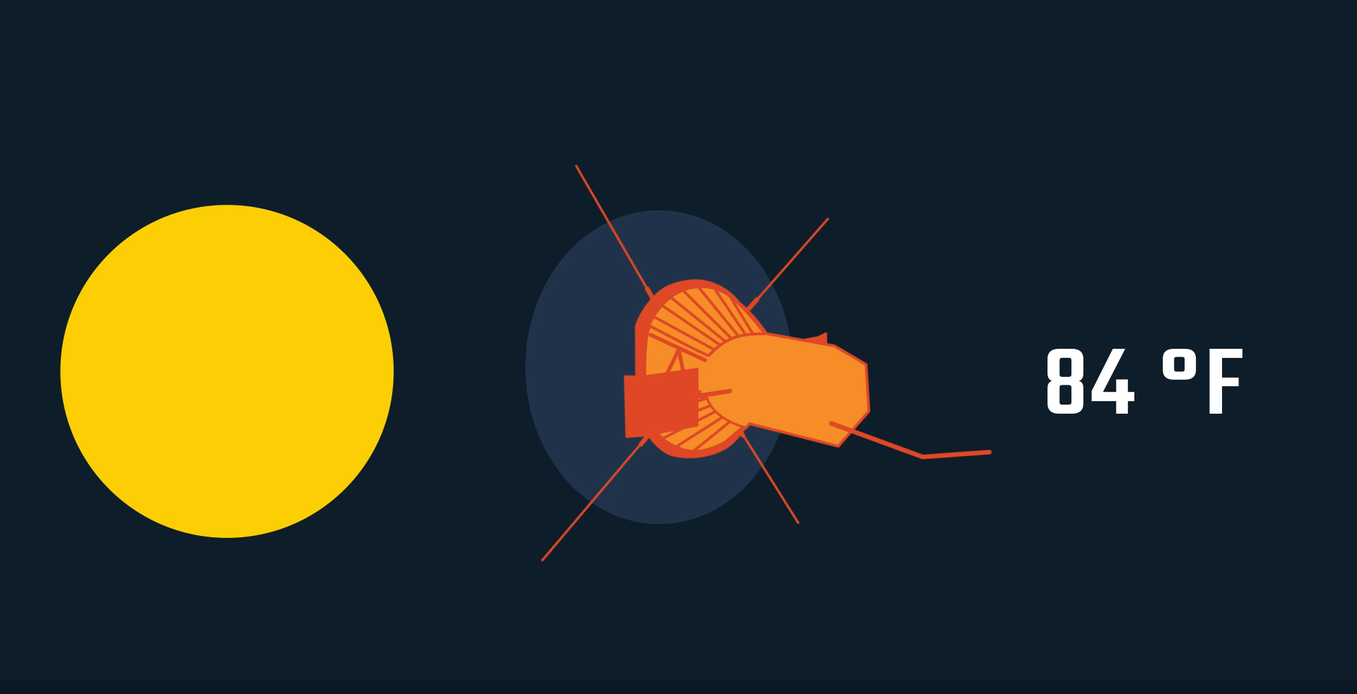 Illustration of Parker Solar Probe and the Sun, with temperature 84 degrees F written next to it